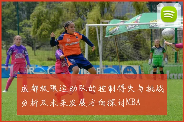 成都极限运动队的控制得失与挑战分析及未来发展方向探讨MBA