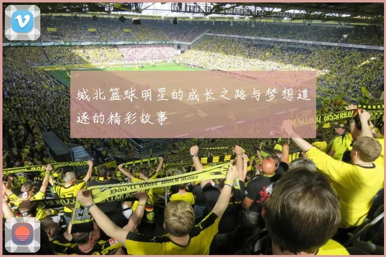 城北篮球明星的成长之路与梦想追逐的精彩故事
