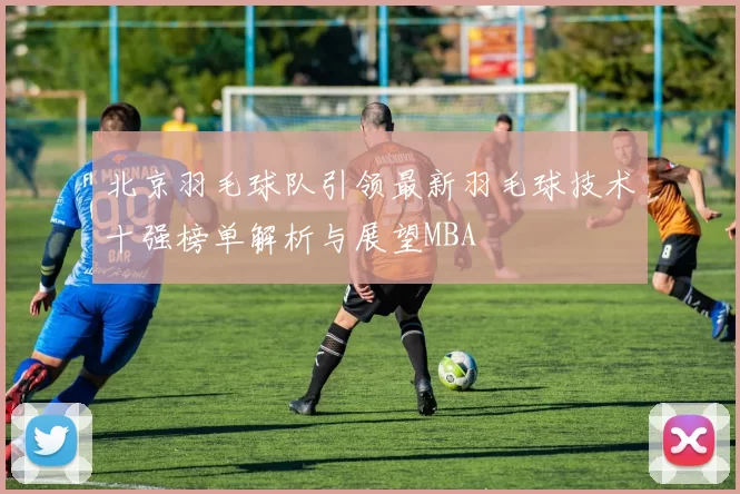 北京羽毛球队引领最新羽毛球技术十强榜单解析与展望MBA