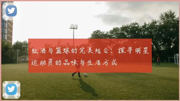 红酒与篮球的完美结合：探寻明星运动员的品味与生活方式