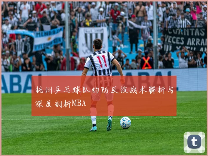 杭州乒乓球队的防反技战术解析与深度剖析MBA