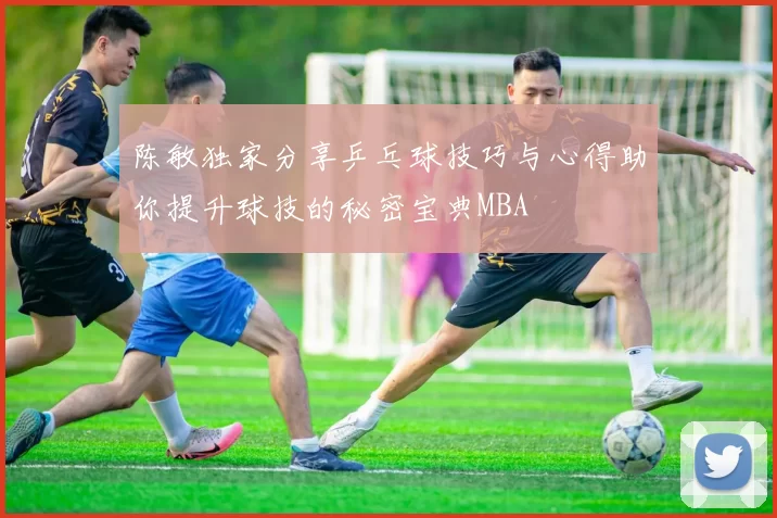 陈敏独家分享乒乓球技巧与心得助你提升球技的秘密宝典MBA